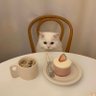 CCCCCNM's profile picture