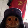 Alex Campos's profile picture