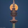 چبريت's profile picture
