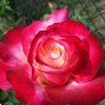 Фото профиля JulBel