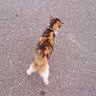 Mieko33 profil fotoğrafı