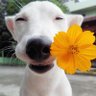 Profilbild von 突然间的冷艳