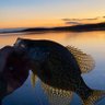 Profilbild von l love crappie