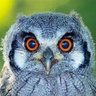 c_tom profil fotoğrafı