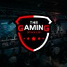 The Gaming Stadium profil fotoğrafı
