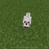 Lampy's profile picture