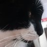 Oriana ~'s profile picture