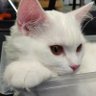 无名 profil fotoğrafı