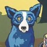 BlueDog2026 profil fotoğrafı