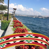 نورة الجبر profil fotoğrafı