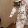 HunieTunaSub profil fotoğrafı