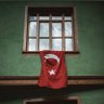 Profilbild von Yunus Koyuncu 🇹🇷