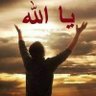 Profilbild von محمد احمد