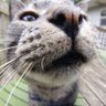 Profilbild von grerk