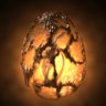 Profilbild von Aidan the Phoenix