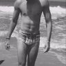 Taurino do interior's profile picture