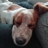 Duncan Campbell's profile picture