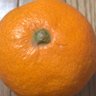 みかんは愛媛のポンジュース(in東京)'s profile picture