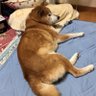 Фото профиля まっちー