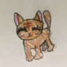 さりらっきー 的头像