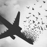 فرشاد آقای گل 的头像