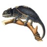 Jacobien's profile picture