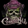 Christian Guerrero's profile picture