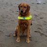 Chris C & Quaver🇬🇧 profil fotoğrafı