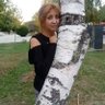 Carolina Gutiérrez A's profile picture
