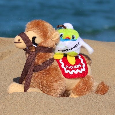 tottori_guide's profile picture