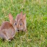 Фото профиля Erisa markwill