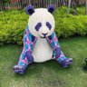 M.dragonpanda profil fotoğrafı