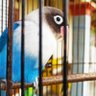Rido j profil fotoğrafı