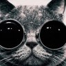 Jerry Abarca profil fotoğrafı
