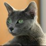 Vox Clamantis 🐺 Ὦ ἰατρὲ ἰῶ σαυτόν's profile picture