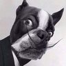 Stuart Marshall's profile picture