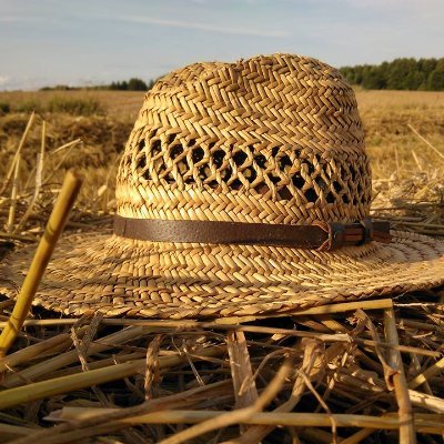 Jacek Słoma's profile picture