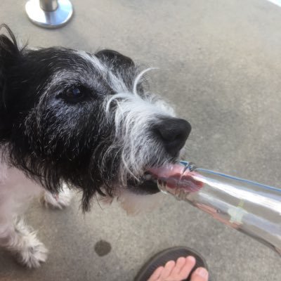 E5C4P3777's profile picture