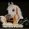 سالم السبيعي's profile picture