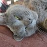LudaTol profil fotoğrafı