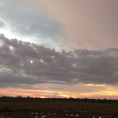 trai quê Minh Trung 993's profile picture