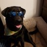 C's profile picture