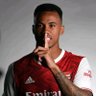 GravityGooner✨'s profile picture
