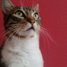 Tayfun profil fotoğrafı