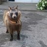 Sarlux 的头像