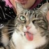 Profilbild von 令