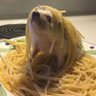 Profilbild von Narwhal 611