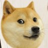 Profilbild von HeelingVoice1015 | Fan account