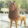 F947's profile picture