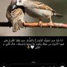 Фото профиля غدآ اجمل